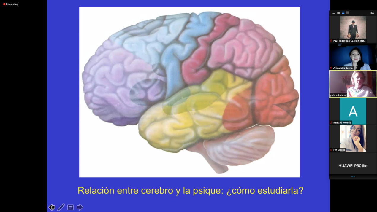 Entering the field of Neuropsychology