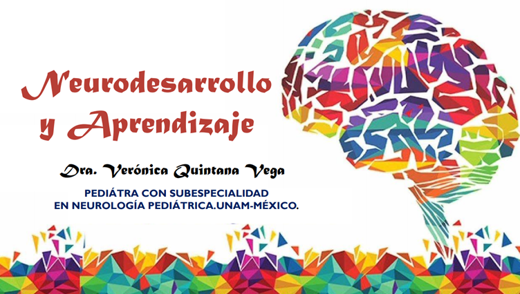 Pedagogical tools through neurodevelopment