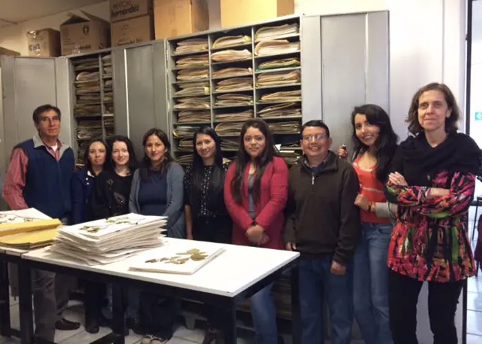 The University of Azuay contains the only herbarium in the province of Azuay