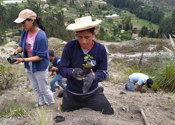 Planting of 1.000 native plants in the Pamar River Valley