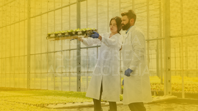 Tecnología Superior en Agroecología