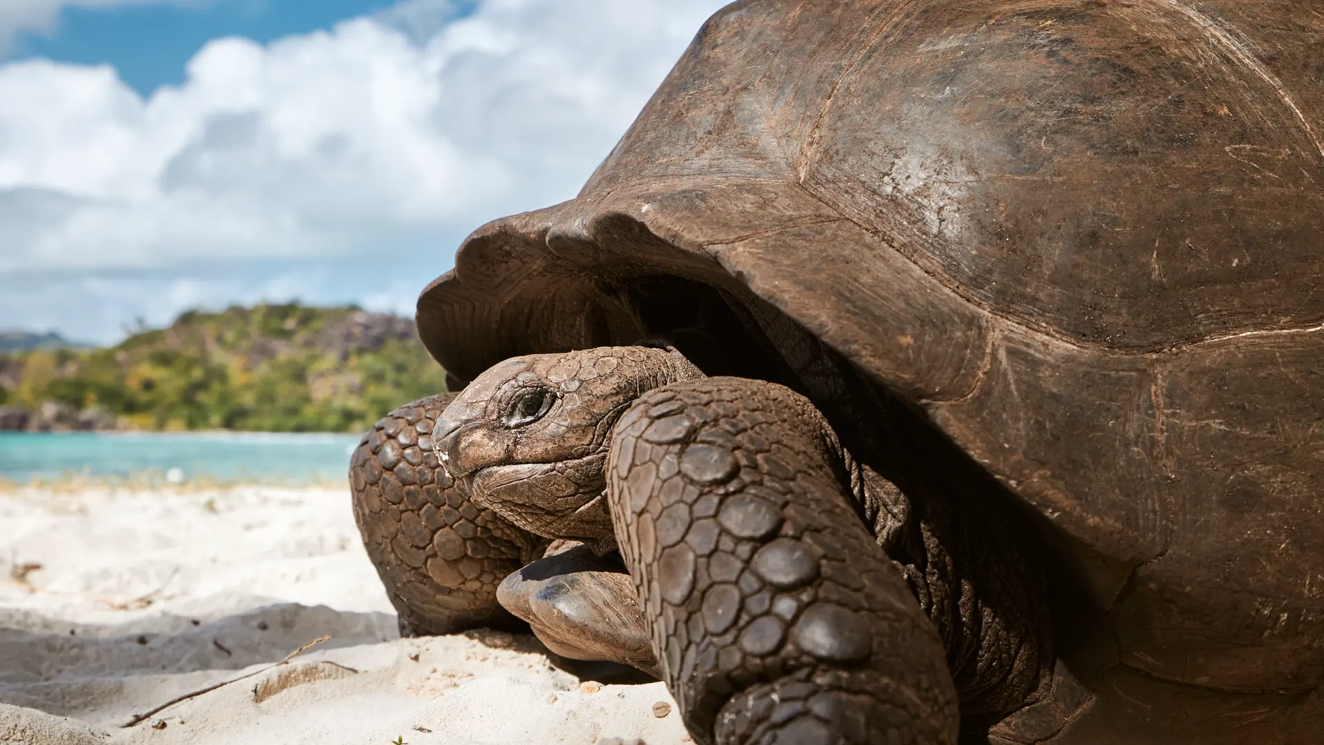 Galápagos Research Network: comprometidos con el futuro del archipiélago