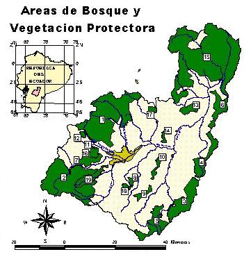 Mapa de Bosque y Vegetacion
