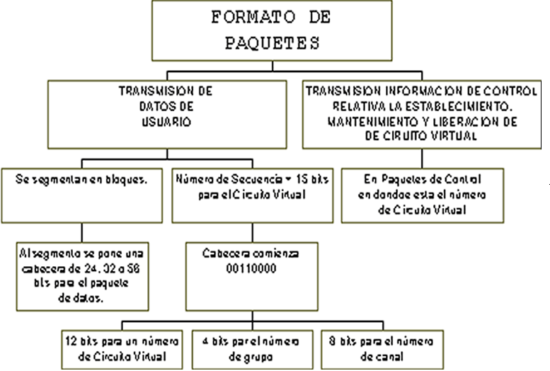 package_format