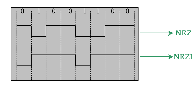 formato_de_codificacion