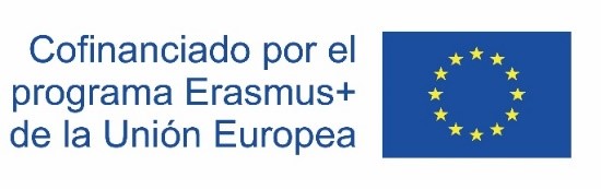 Erasmus logo