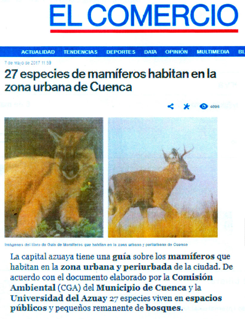 27 especies de mamíferos habitan en la zona urbana de Cuenca