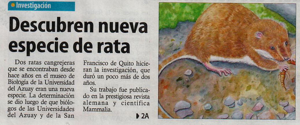 Descubren nueva especie de rata 