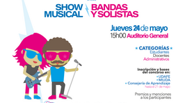 Musical show, bands and soloists