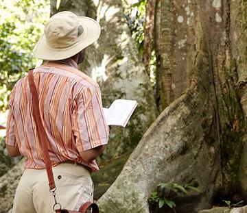 Storytelling para la creación de nuevas experiencias turísticas