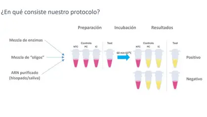 Protocolo de diagnóstico de Covid-19 rápido, confiable y a bajo costo