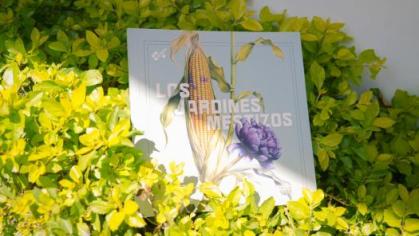 Se presentó la obra “Los Jardines Mestizos” en la Universidad del Azuay 