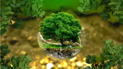 Día Mundial del Medio Ambiente: pequeñas acciones, grandes cambios