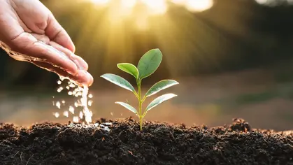 Día Internacional de la Madre Tierra