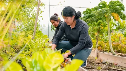 Sin campo no hay futuro