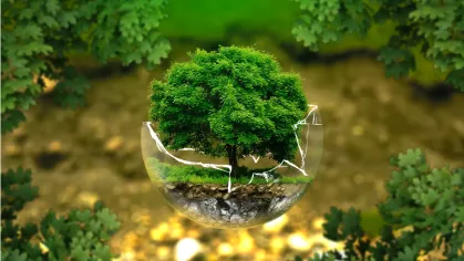 Día Mundial del Medio Ambiente: pequeñas acciones, grandes cambios