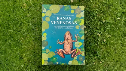 Ranas venenosas: una obra de Emilia Idrovo y Anna Tripaldi