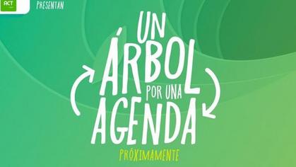 Representantes estudiantiles realizan proyectos ecológicos 