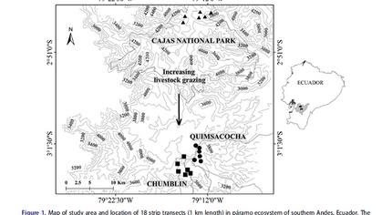 Teachers of CCTT investigate the effects of wild cattle in the páramos