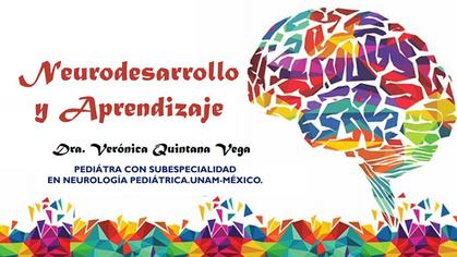 Pedagogical tools through neurodevelopment