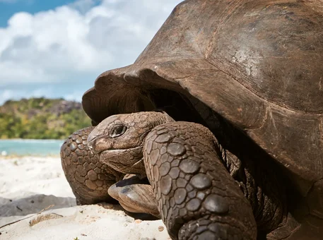 Galápagos Research Network: comprometidos con el futuro del archipiélago