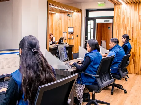 Primeras pasantías: ¿qué esperar?