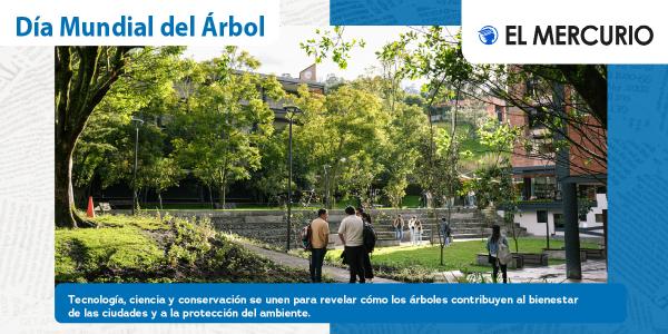 Día Mundial del Árbol