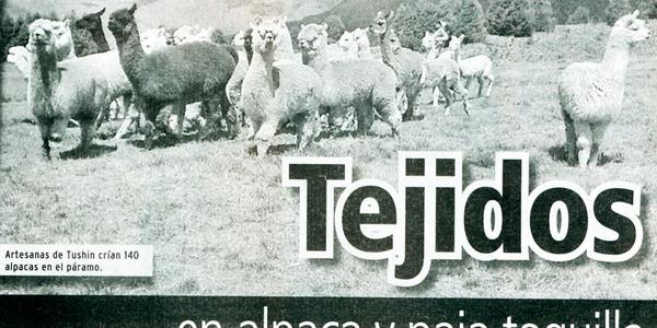 Tejidos en alpaca y paja toquilla en proyecto de innovación