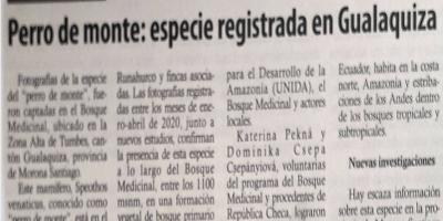 Perro de monte: especie registrada en Gualaquiza