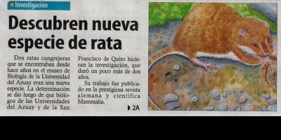 Descubren nueva especie de rata