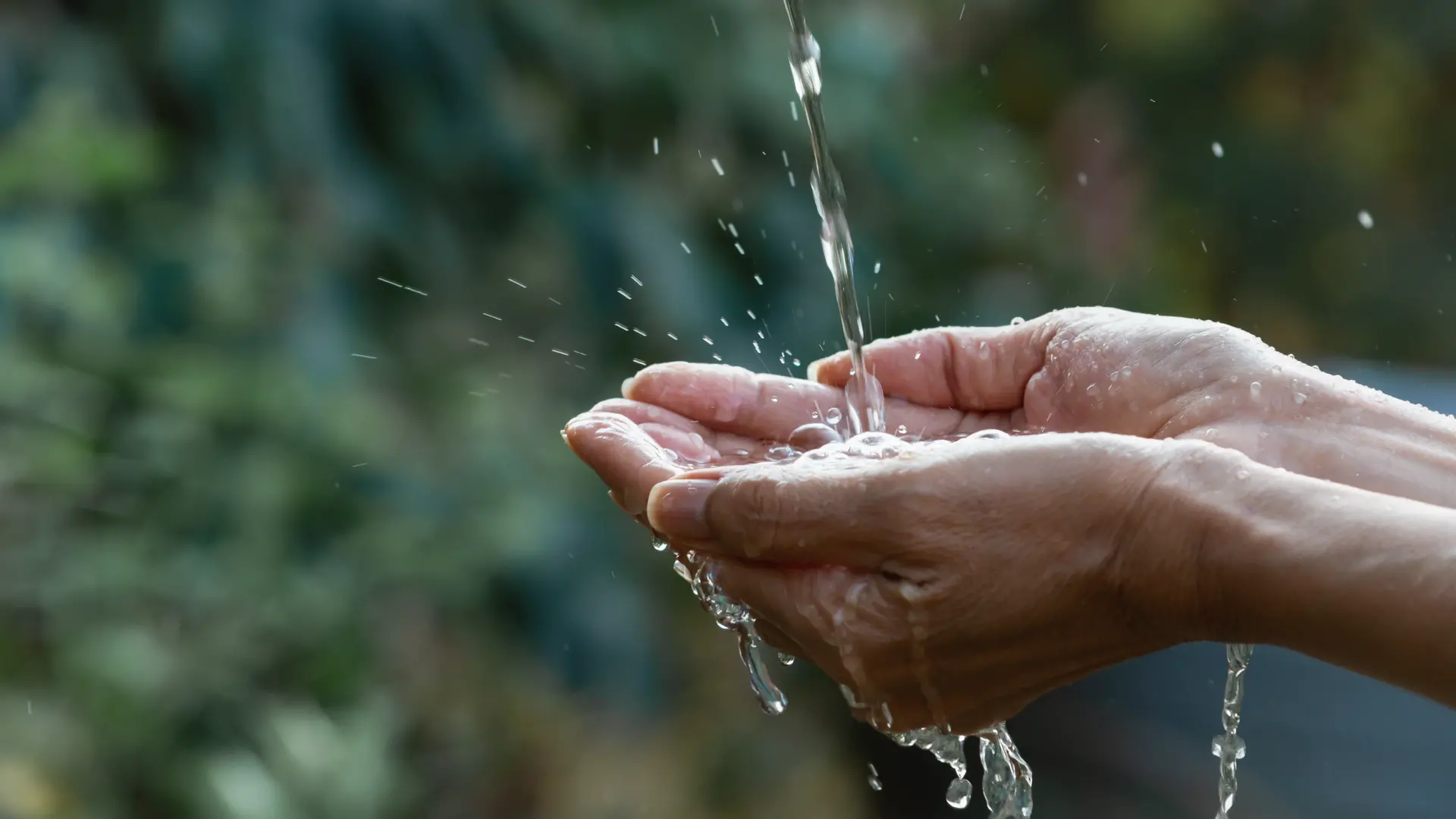 Día Mundial del Agua: una discusión desde la sostenibilidad