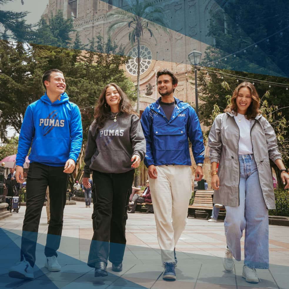 Matrículas 02 febrero - 06 junio 2026