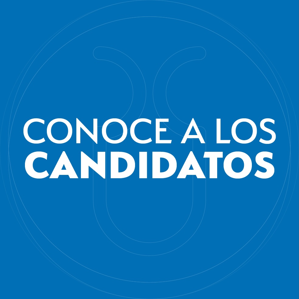 Conoce a los candidatos
