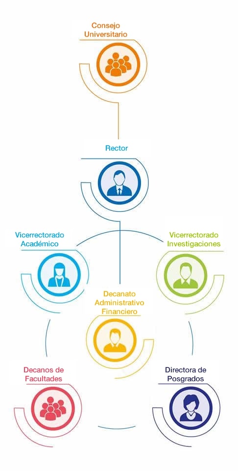 Estructura Orgánica