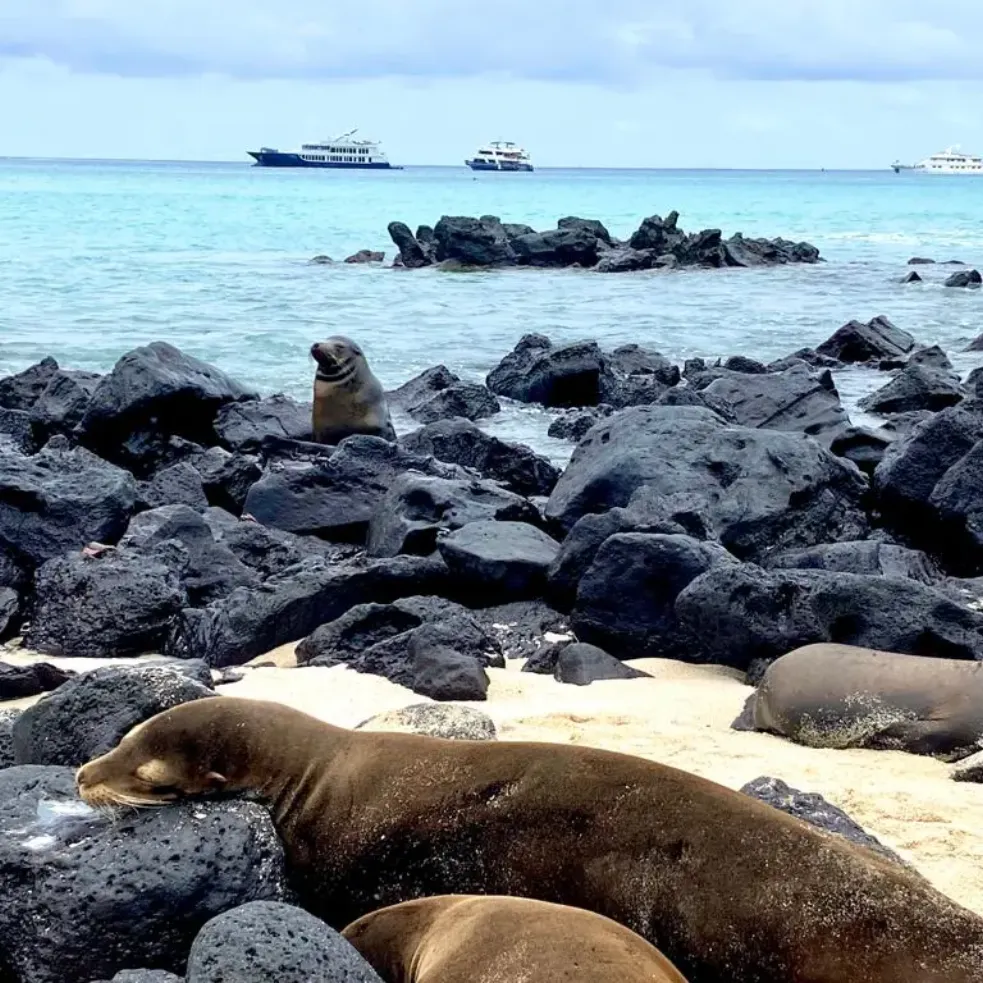 Galapagos Research Network