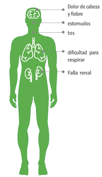 ¿CUÁLES SON LOS SÍNTOMAS?<