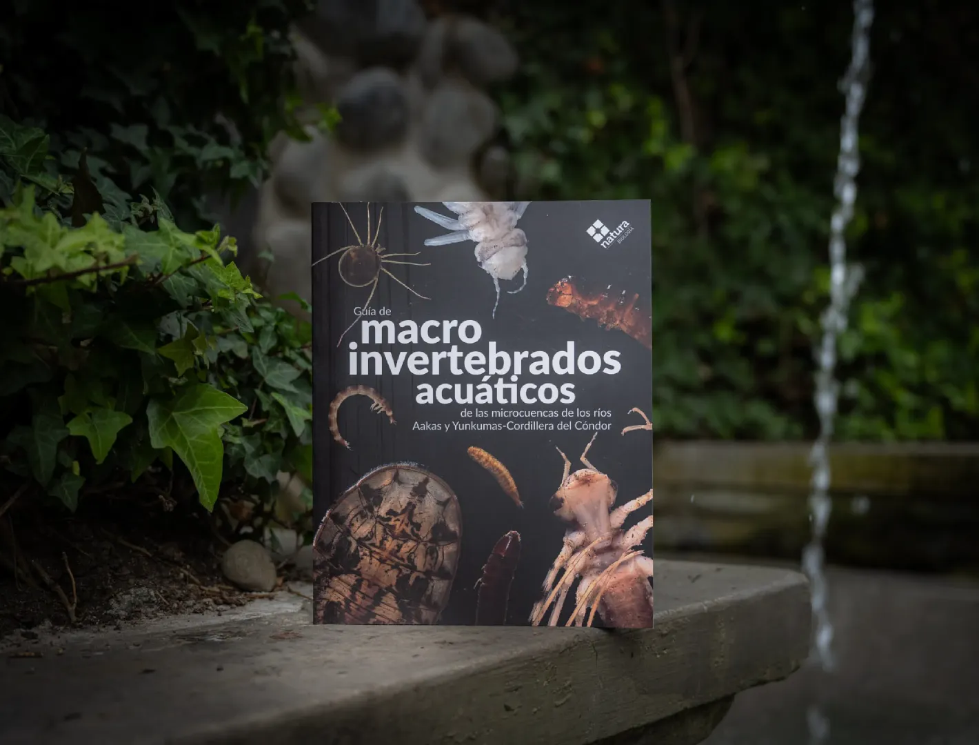 Libro: Guía de macroinvertebrados acuáticos